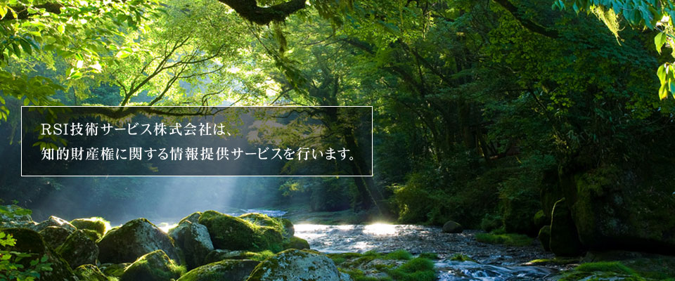 ＲＳＩ技術サービス株式会社は、知的財産権に関する情報提供サービスを行います。